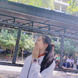cottonbud_120